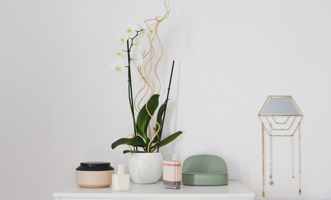 Iluminación: la clave del ambiente perfecto